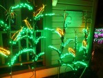 2009 Dec Garden d'Lights 04 garden corn.JPG