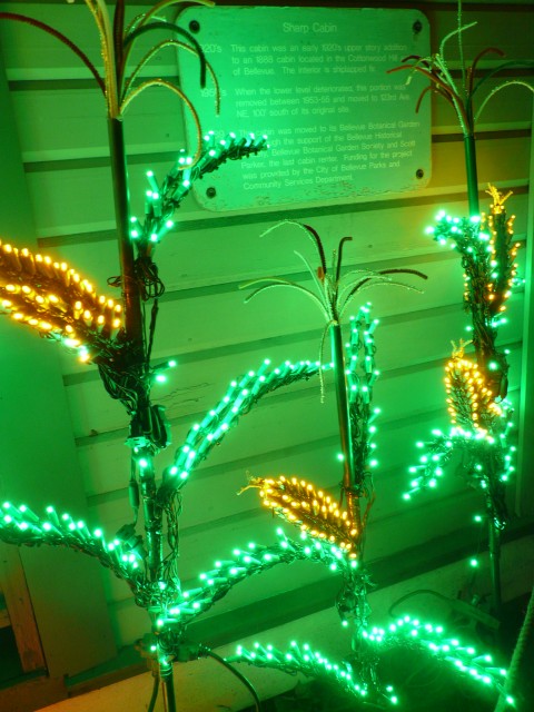 2009 Dec Garden d'Lights 05 garden corn.JPG