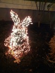 2009 Dec Garden d'Lights 06 garden bunny.JPG