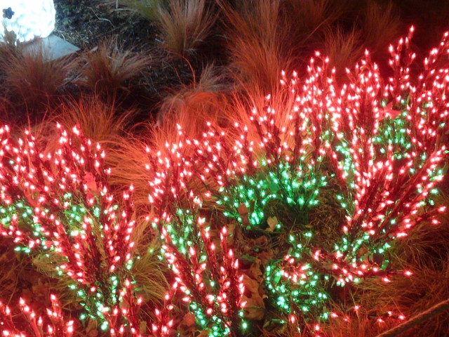 2009 Dec Garden d'Lights 12.JPG