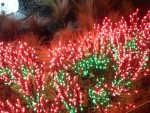2009 Dec Garden d'Lights 12.JPG