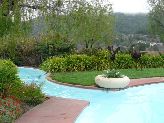 10Jan27 Marin 011 FLWright Tour east patio shallow pools.JPG