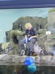 2010Feb9 Monterey Bay Aquarium 04 feeding penguins.JPG