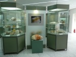 09Aug21 Milos 10 Mining Museum display of mineral samples.JPG