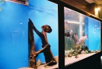04-Jun 27th Stockholm 2 hotel aquarium.jpg