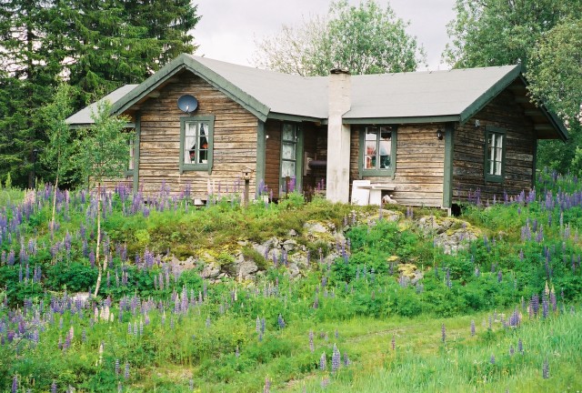 04-Jul 2nd Tydal06 museum.jpg