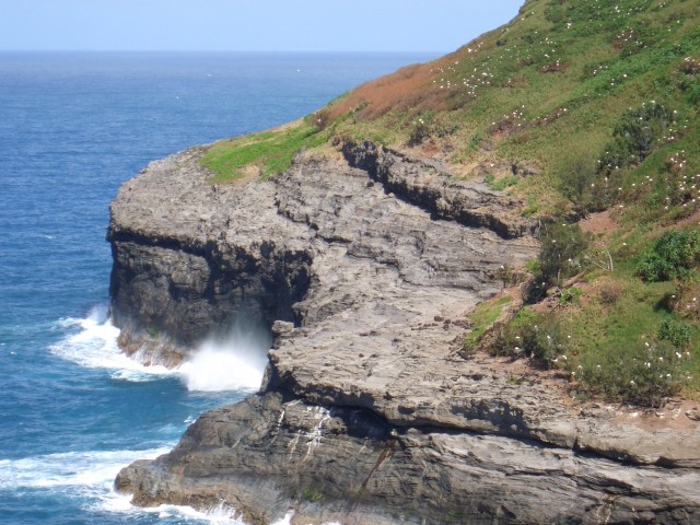 05AprHawaii - Kilauea Lighthouse3.JPG