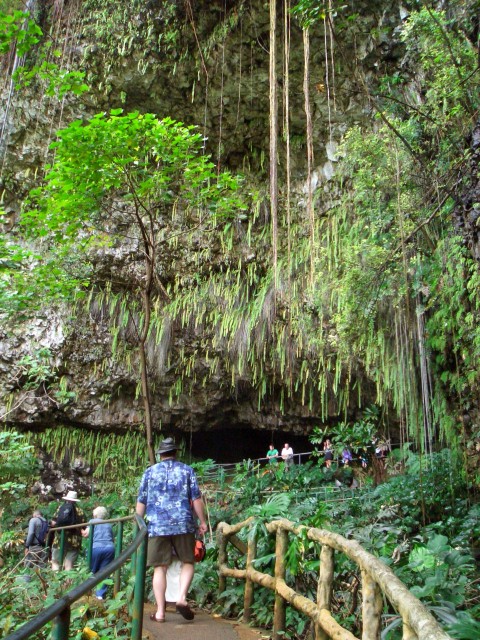 05AprHawaii - LSA Tour Fern Grotto.JPG