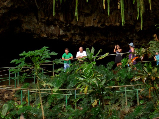 05AprHawaii - LSA Tour Fern Grotto1.JPG