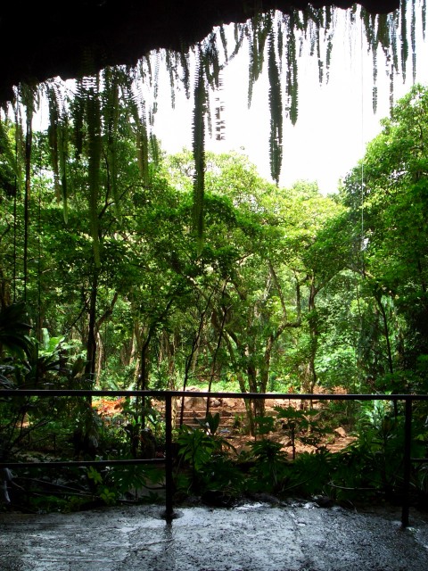 05AprHawaii - LSA Tour Fern Grotto2.JPG