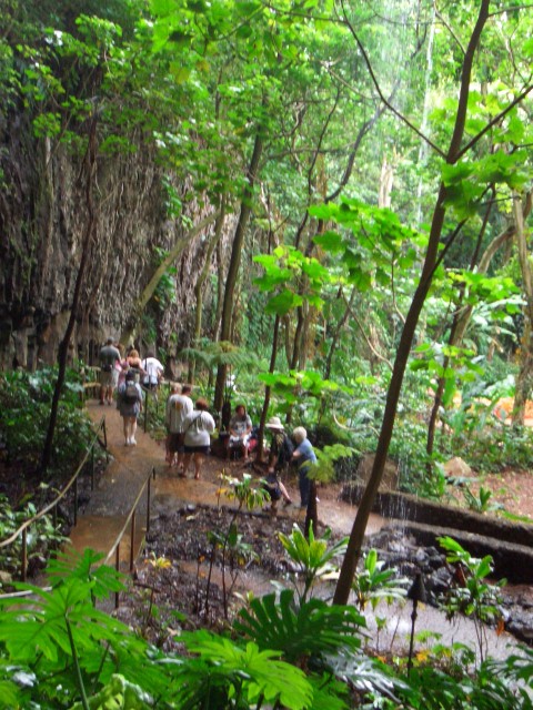 05AprHawaii - LSA Tour Fern Grotto4.JPG