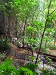05AprHawaii - LSA Tour Fern Grotto4.JPG