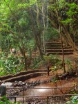 05AprHawaii - LSA Tour Fern Grotto5.JPG