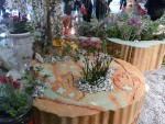 2010 Mar 24 SF Flower&Garden Show 02.JPG