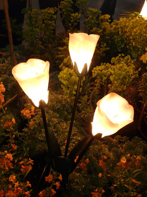2010 Mar 24 SF Flower&Garden Show 09.JPG