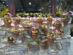 2010 Mar 24 SF Flower&Garden Show 10.JPG