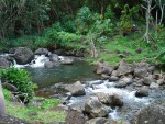 05AprHawaii - Limahuli Garden - stream1.JPG