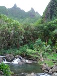 05AprHawaii - Limahuli Garden - stream2.JPG