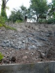 2010 August 28 Oakland 07 backyard clearing slope by filling green recycle bin each week.JPG