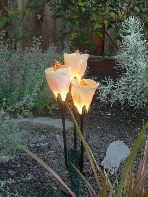 2010 June 30 San Ramon 04 new lights tulip clusters closeup.JPG