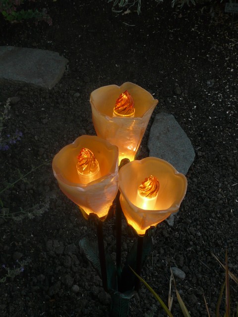 2010 June 30 San Ramon 05 new lights looking down in tulip cluster.JPG