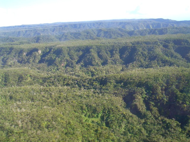 05AprHawaii - Helicopter1 Afa Kai Swamp1.JPG