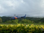 Highlight for Album: View from Helicopter