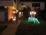 2010 John's Lights.JPG