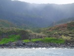 05AprHawaii - Holo Holo Tour Na Pali Coast.JPG