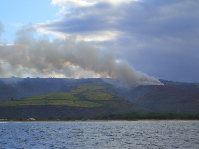 05AprHawaii - Holo Holo Tour cane field burn off.JPG