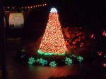 Highlight for Album: Garden d'Lights - Bellevue photos from CD
