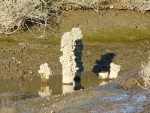 2011 Feb 12 BADO Hayward Shoreline Park 07 interesting rock formation.JPG