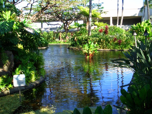 Honolulu airport garden1.JPG