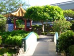 Honolulu airport garden5.JPG