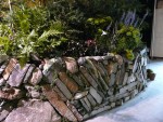 Highlight for Album: 2011 Mar SF Flower & Garden Show
