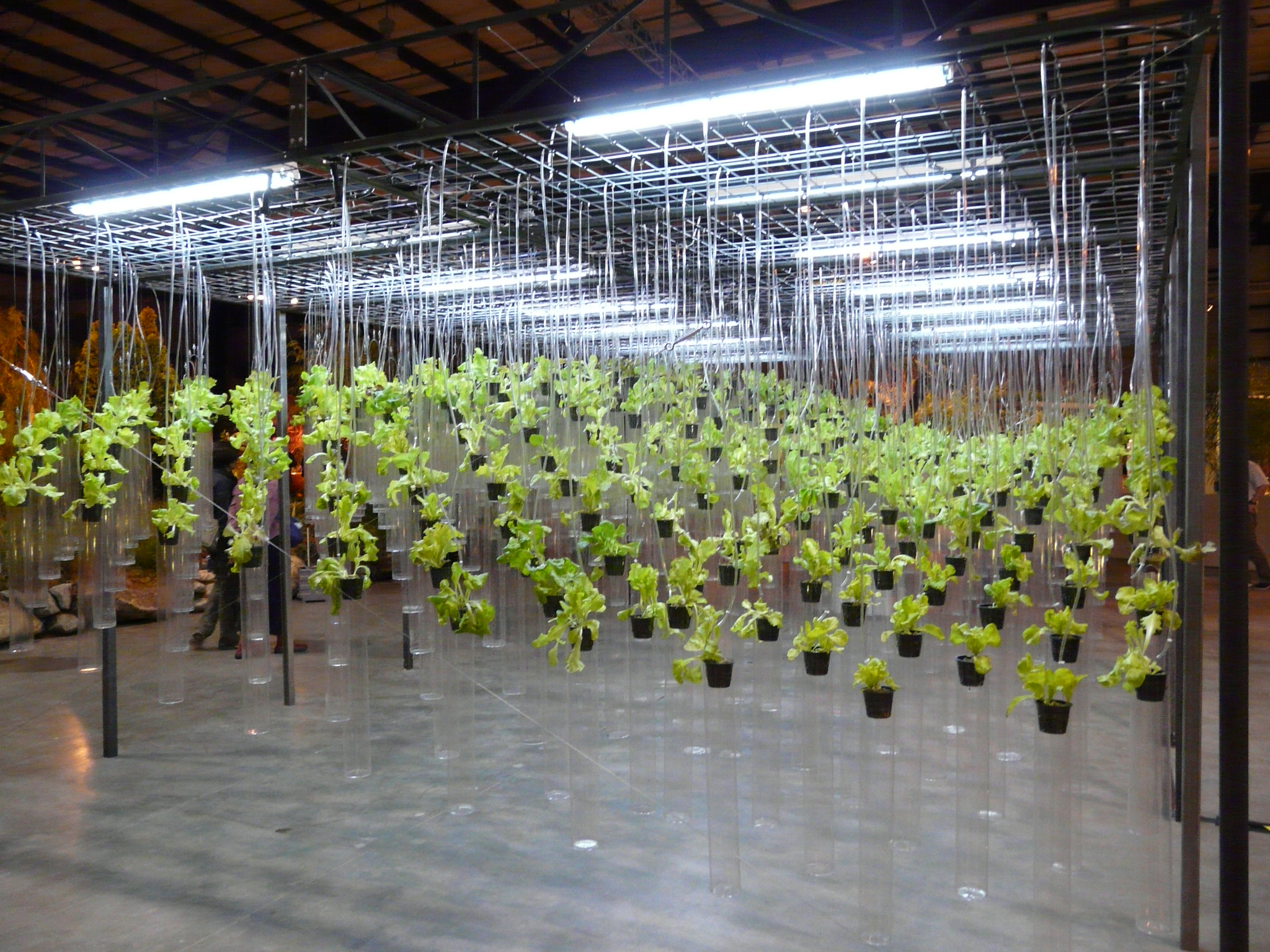 Pinterest • The world’s catalog of ideas