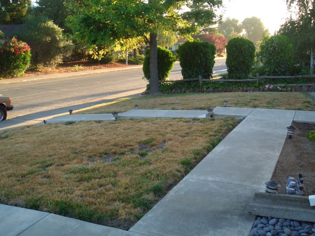 Front yard 2005 August 3 before work begins 01.jpg