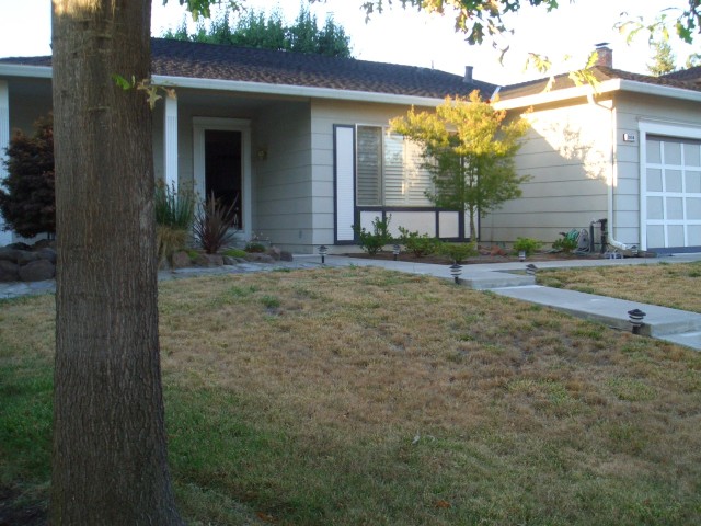 Front yard 2005 August 3 before work begins 04.jpg