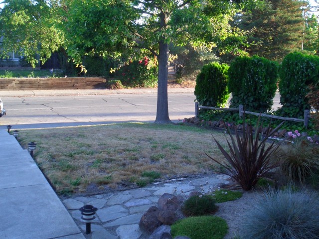 Front yard 2005 August 3 before work begins 14.jpg