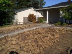 Front yard 2005 August 4 walkway demolition day 2 008.jpg