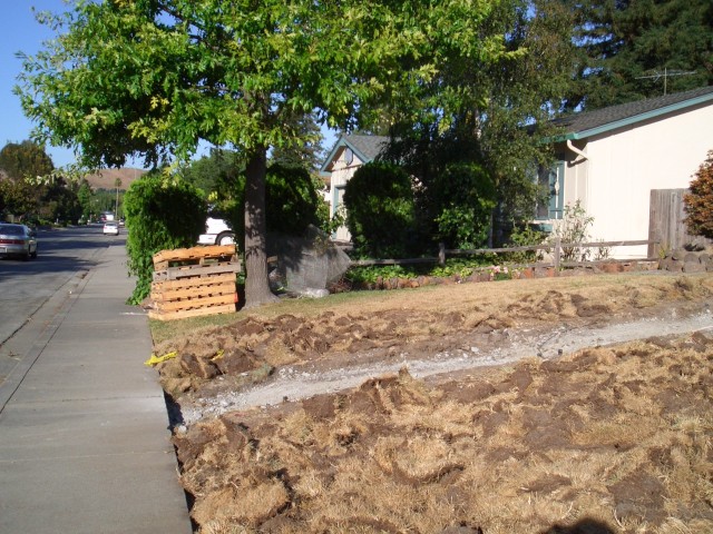 Front yard 2005 August 4 walkway demolition day 2 009.jpg
