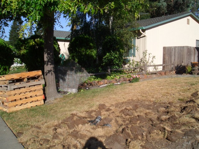 Front yard 2005 August 4 walkway demolition day 2 012.jpg