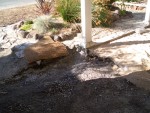 Front yard 2005 August 5 walkway demolition day 3 003.jpg