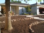 Front yard 2005 August 24 sprinklers installed 05.jpg