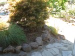 Front yard 2005 August 28 flower bed edging cleaned 01.jpg
