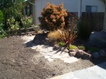 Front yard 2005 August 28 flower bed edging cleaned 03.jpg