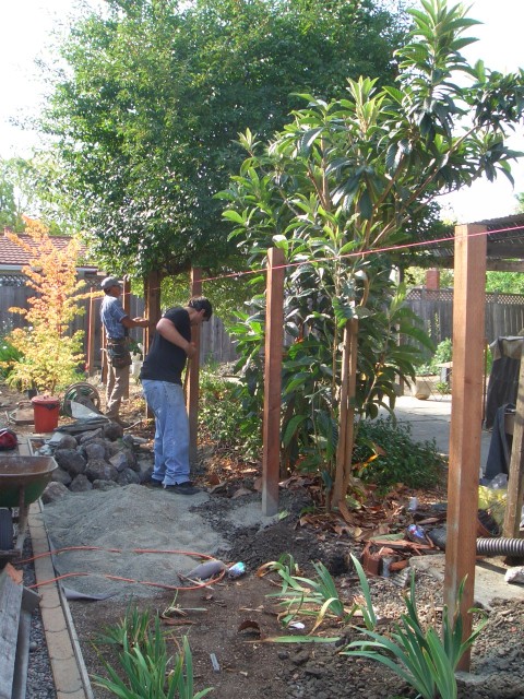 2005 Sep 12 fence 19 posts in place.jpg