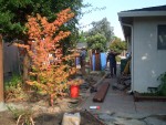 2005 Sep 12 fence 21 wood in place.jpg