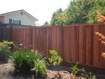 2005 Sep 12 fence 39 done.jpg