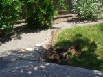 05-May Backyard starting refresh.jpg